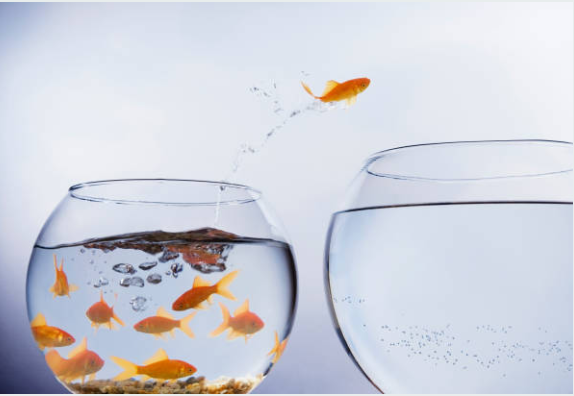 Home screenshot 2025 10 27 193313